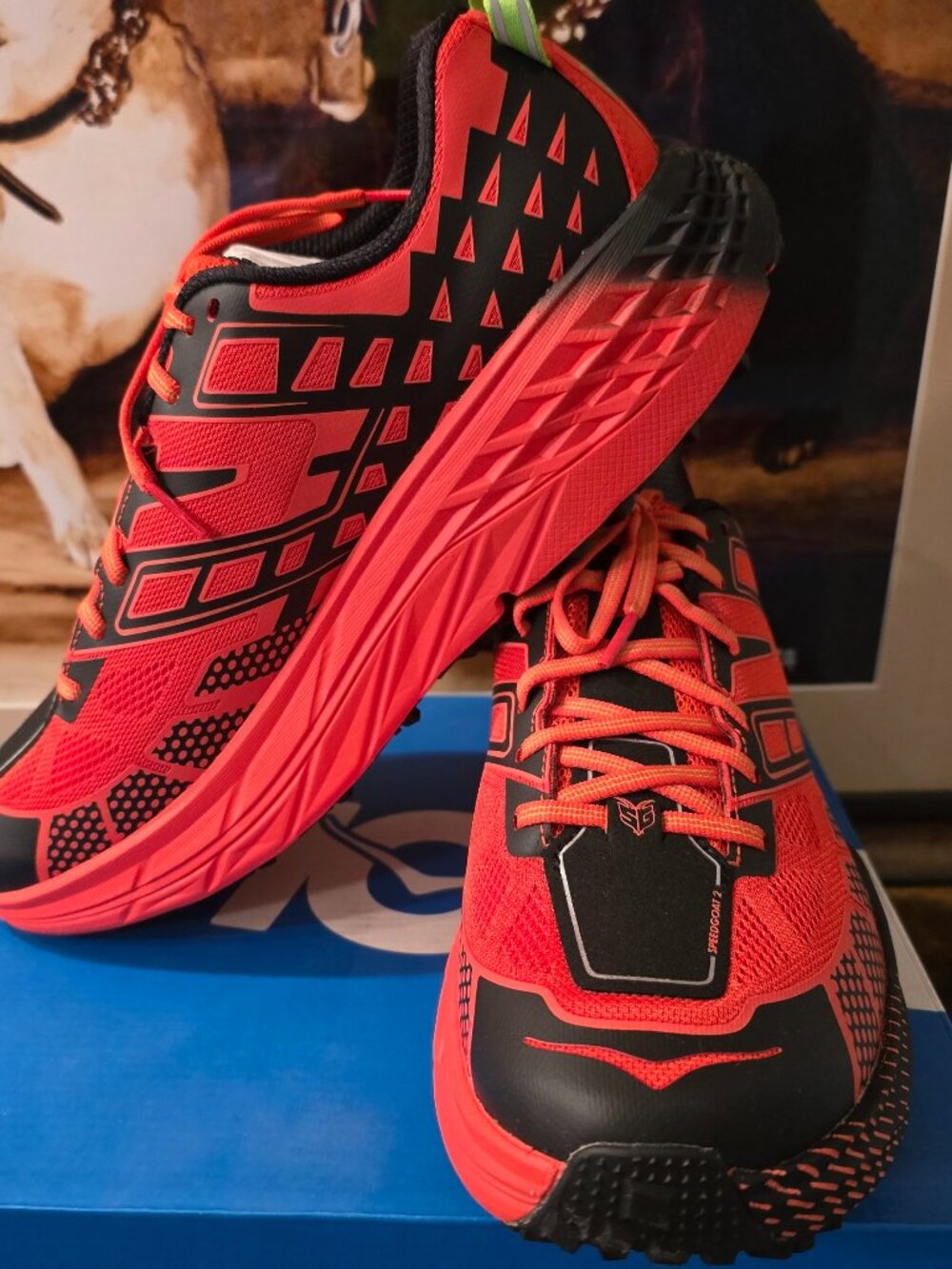 Hoka One One Speedgoat 2 Tomato Red 1162710-TLCT Trail Men’s Size 10.5 Shoes NEW